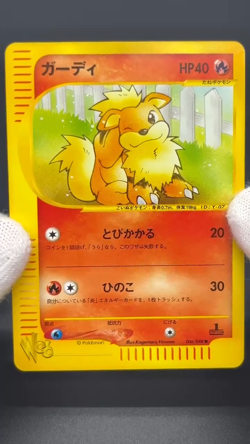 (LP+) Arcanine Growlithe Web 006/048 023/048 2 Set Pokemon Card Japanese - Image 2