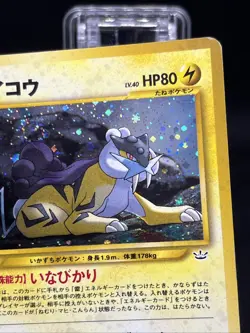 Raikou No. 243 Neo 3 Swirl Holo Promo 2000 Pokemon Card Japanese - Image 4