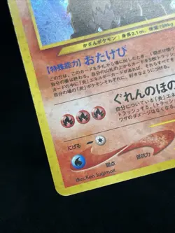 Entei No.244 Neo 3 Holo Promo 2000 Pokemon Card Japanese - Image 5