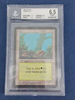Magic The Gathering MTG Forest A Alpha Edition 1993 BGS 6.5 - Image 1