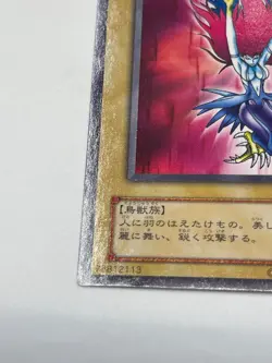 Yugioh -Harpie Lady RB-08 Common REVIVAL OF BLACK DEMONS DRAGON - Image 5