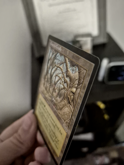 Magic The Gathering / MTG Gaea's Cradle | Urza's Saga | Regular | Near Mint (NM) - Image 3