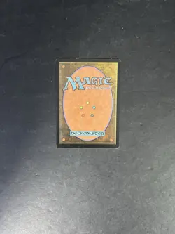 Soul Warden x1 Magic 2010 M10 1x Magic the Gathering MTG MP - Image 2