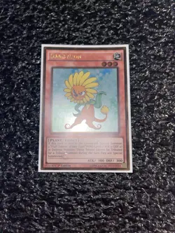 Yugioh Dandylion PGL2-EN030 Gold Rare 1st Edition Near Mint - Image 1