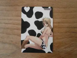 Carte Prism - FAIRY TAIL - PREMIUM Edition - Fan Card - CARDDASS Special - Image 3