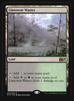 Llanowar Wastes Magic 2015 (M15) #244 Rare MTG Magic R4-240 - Image 1
