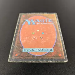 MTG \>> Bayou (PL) <<// Revised - 341 Trading - Magic - Image 5