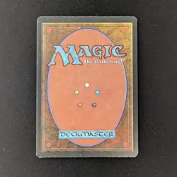 MTG \>> Scrubland (EX) <<// Revised - 341 Trading - Magic - Image 2