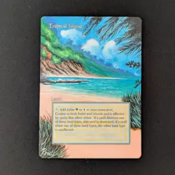 MTG \>> Tropical Island (PL) <<// Revised - 341 Trading - Magic - Image 1
