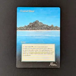 MTG \>> Tropical Island (PL) <<// Revised - 341 Trading - Magic - Image 1