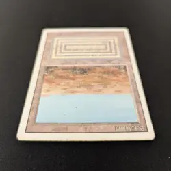 MTG \>> Scrubland (PO) <<// Revised - 341 Trading - Magic - Image 4