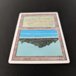 MTG \>> Tropical Island (EX) <<// Foreign White Bordered - 341 Trading - Magic - Image 4
