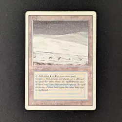 MTG \>> Tundra (PL) <<// Revised - 341 Trading - Magic - Image 1