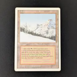 MTG \>> Taiga (LP) <<// Revised - 341 Trading - Magic - Image 1