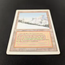 MTG \>> Taiga (LP) <<// Revised - 341 Trading - Magic - Image 3