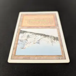 MTG \>> Taiga (LP) <<// Revised - 341 Trading - Magic - Image 4