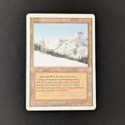 MTG \>> Taiga (PL) <<// Revised - 341 Trading - Magic - Image 1