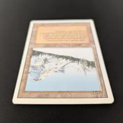 MTG \>> Taiga (PL) <<// Revised - 341 Trading - Magic - Image 4