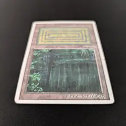 MTG \>> Bayou (PO) <<// Foreign White Bordered - 341 Trading - Magic - Image 4