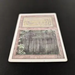 MTG \>> Bayou (LP) <<// Revised - 341 Trading - Magic - Image 4