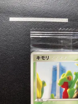 Treecko 037/PCG-P Promo 2005 Nintendo Pokemon Center Yokohama Limited Promo Card - Image 2