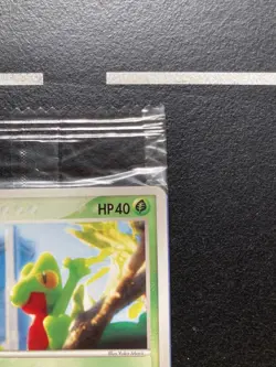 Treecko 037/PCG-P Promo 2005 Nintendo Pokemon Center Yokohama Limited Promo Card - Image 3