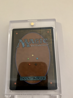 MTG Starting Town Land FIN in excellent condition (in hard case) - Image 2