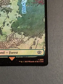 MTG - 1x Foil Full Art Forest #281 - Lord of the Rings Tales of Middle Earth NM - Image 4