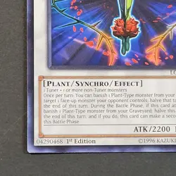 Yugioh TCG - Splendid Rose - LC5D-EN100 - NM - 1st Edition - Rare - Synchro 2014 - Image 3
