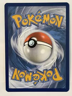 Quaquaval EX 260/193 Sv02: Paldea Evolved Special Illustration Rare Pokemon Card - Image 2