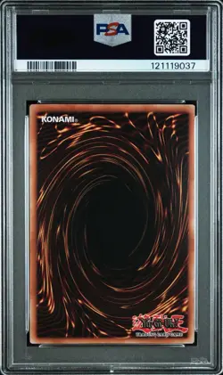 PSA 10 Dragon of Illumination Sanctuary's Shield 2025-EN004 Yugioh - Image 2