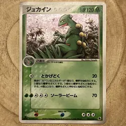 Sceptile Holo 003/055 Pokemon Japanese ADV Expansion Pack 1st Edition Card LP/NM - Image 1