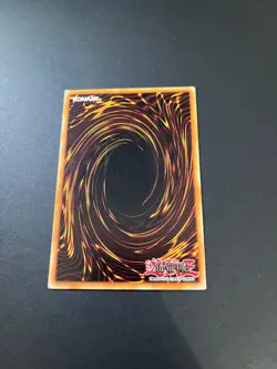 SDDC-EN004 Blue-Eyes White Dragon Common Unlimited Edition Yugioh Card - Image 3