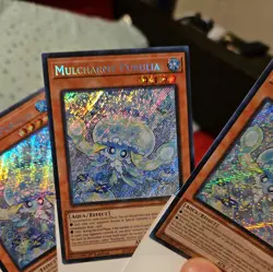 Mulcharmy Purulia (Playset) INFO-EN027 The Infinite Forbidden 1st Edition 3 Card - Image 4