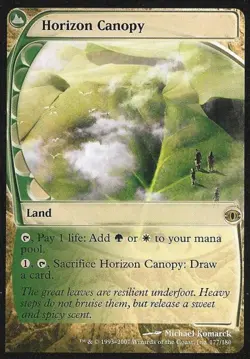 MTG English Horizon Canopy NM Normal Futuresight - Image 1