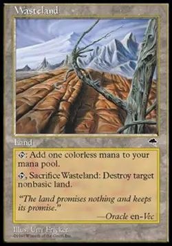 Wasteland - Heavy Play MTG Tempest - Image 1