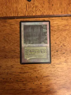 Mtg - Bayou - FOIL - Unlimited - Beta - Legacy Artist Alter Commander - Image 3