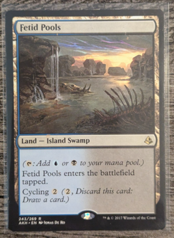 MTG: Fetid Pools (Amonkhet)(RARE) - Image 1