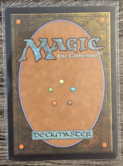 MTG: Fetid Pools (Amonkhet)(RARE) - Image 2