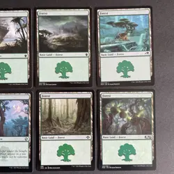 MTG Basic Land Forest Cards Lot Of 8 No Duplicates Wizards Of The Coast - Image 2