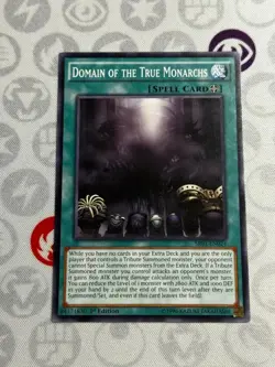 Domain of the True Monarchs - SR01-EN024 - Common (NM) - Yugioh - Image 1