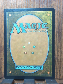 MTG Don't Move (FOIL Borderless) Universes Beyond Jurassic World Collection NM❤ - Image 3