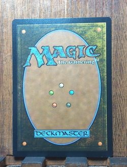 MTG🌳 Quilled Greatwurm (Borderless) Foundations NEAR MINT Beauty❤💕✨ - Image 4