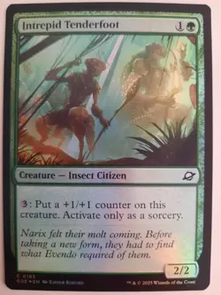 Intrepid Tenderfoot #0193 Edge of Eternities MTG Magic NM FOIL - Image 1