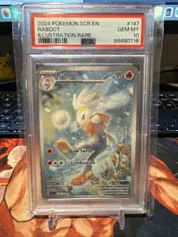 2024 POKEMON SCR EN-STELLAR CROWN ILLUSTRATION RARE 147 RABOOT PSA 10 GEM MINT💎 - Image 1