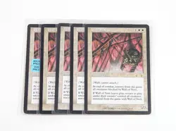Lot of (5) Magic The Gathering MTG Wall of Nets - Image 1