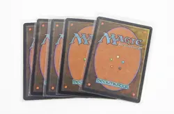 Lot of (5) Magic The Gathering MTG Wall of Nets - Image 2