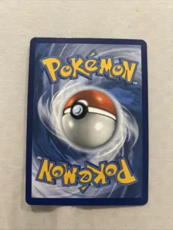 Raihan - 224/203 - Pokemon Evolving Skies Sword & Shield Secret Rare Card NM - Image 2