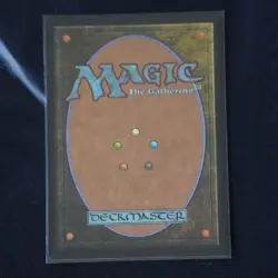 Mtg Ust Forest Foil English Version - Image 2