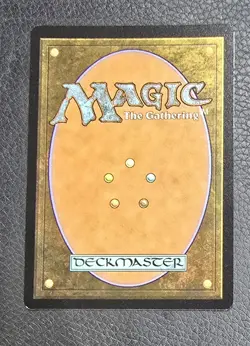 MTG - Elegy Acolyte (Borderless Foil) - Edge of Eternities NM Condition Magic - Image 2